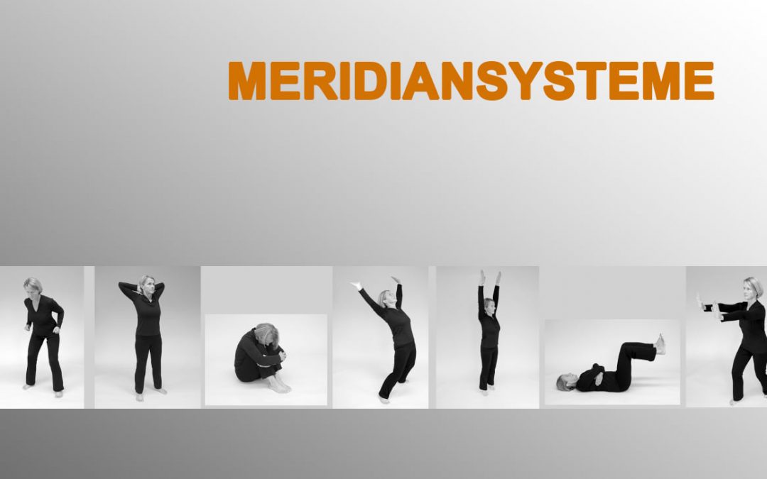 Aus der Praxis: Meridiansystematik n. Teschler