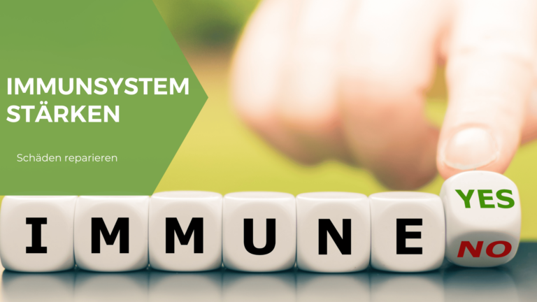 Immunsystem stärken nach Infektion (z.B. "Long Covid")