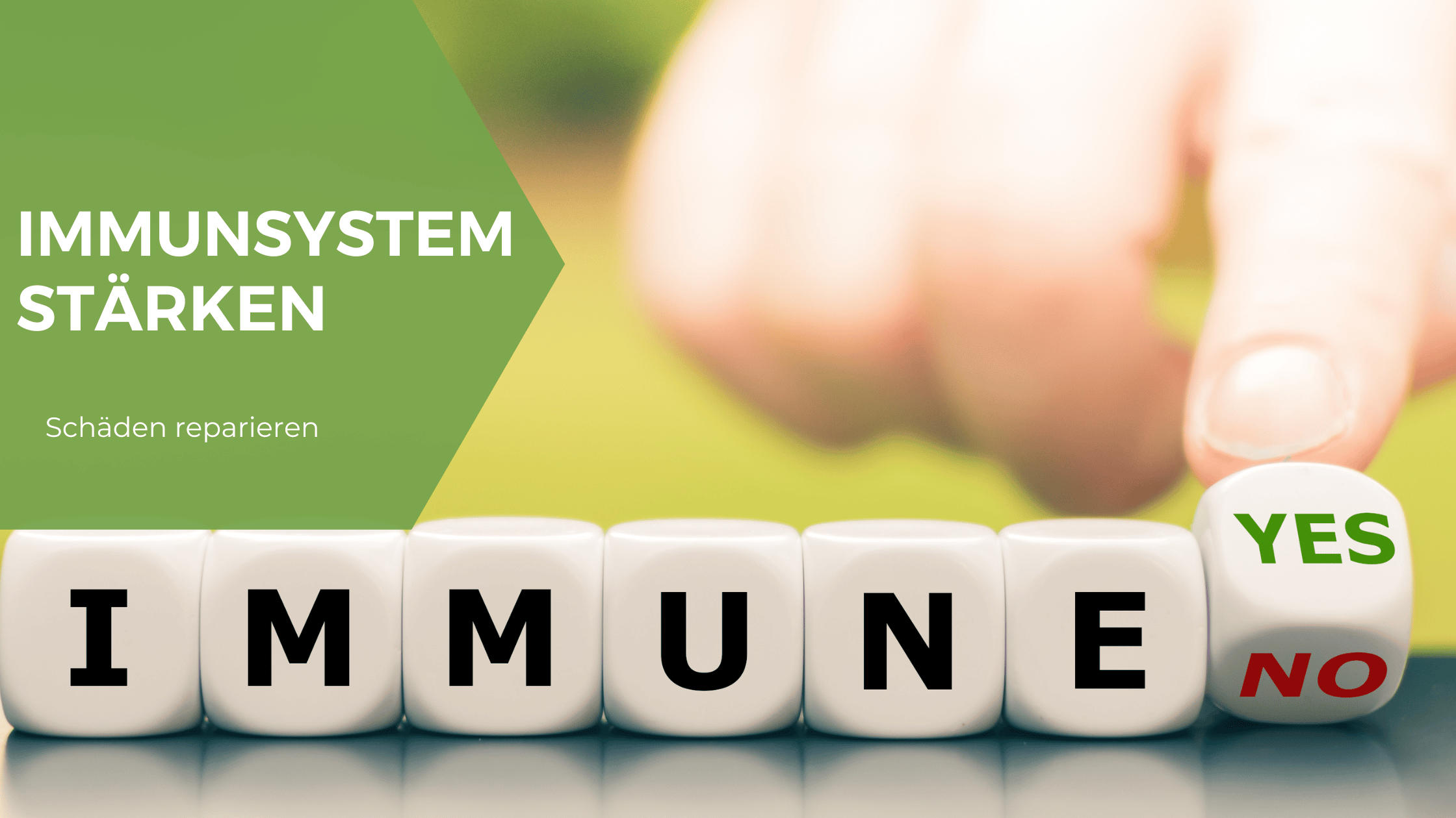 Immunsystem stärken nach Infektion (z.B. „Long Covid“)
